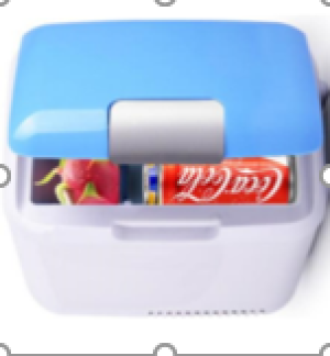 car refrigerator