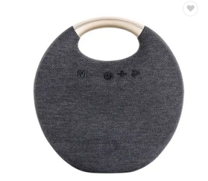 Mini Outdoor Speakers