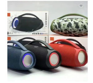 Wireless Speaker Outdoor